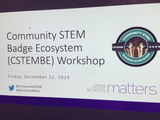 On December 12, After School Matters held a workshop on CSTEMBE badges with our brave pilot instructors.
